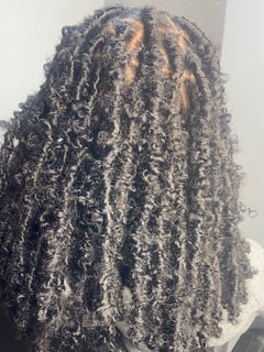 View Hair Texture, 3B, 3C, 4A, 3A, 4B, 4C, Natural, Braids (African American), Protective, Locs, Hair Extensions, Women's Hair, Hairstyles - Slay Princess, 