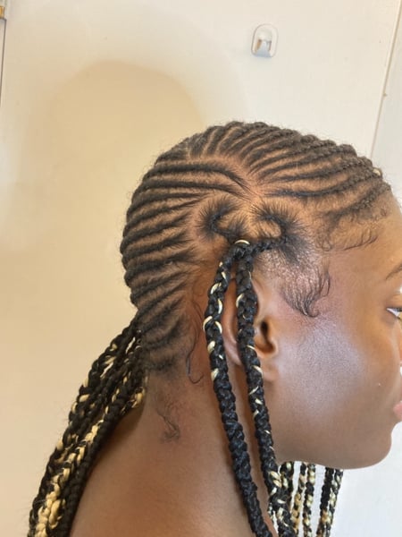 Image of  Hair Color, Weave, Braids (African American), Women's Hair, Hairstyles