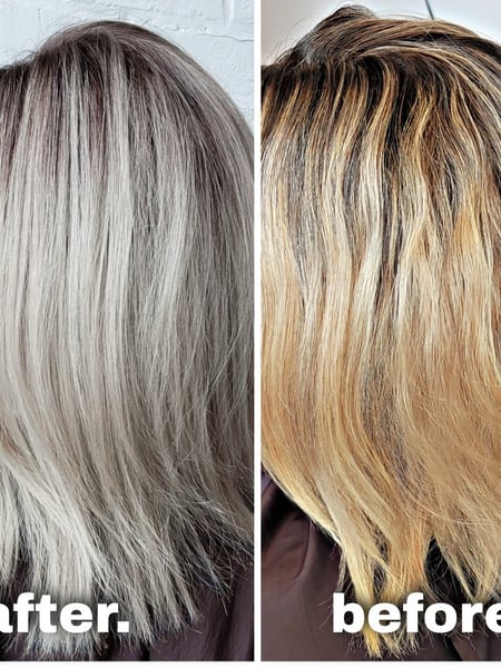 Image of  Women's Hair, Hair Color, Blonde, Color Correction, Fashion Color, Full Color, Highlights, Silver, Hair Length, Short Chin Length, Shoulder Length, Haircuts, Bob, Blunt, Hairstyles, Straight