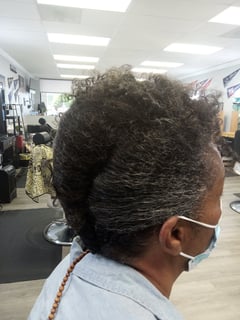 View Hairstyle, Braiding (African American), Locs, Protective Styles, Updo, Mohawk, French Braid, Curls, Kid's Hair - Latasha Smith, New Orleans, LA