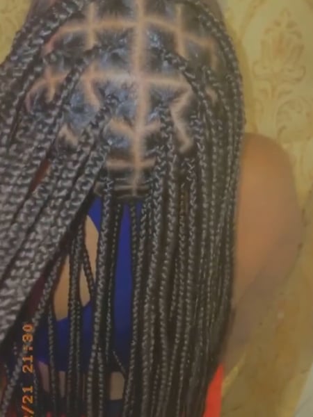 Image of  Hair Texture, 4C, Braids (African American), Women's Hair, Hairstyle