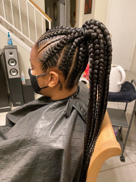 Image of  Women's Hair, Braids (African American), Hairstyles, Protective, Updo