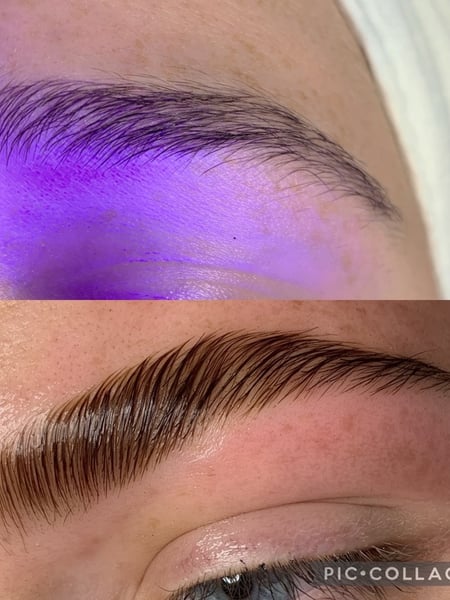 Image of  Brows, Brow Shaping, Arched, Brow Technique, Wax & Tweeze, Brow Sculpting, Brow Tinting, Brow Lamination