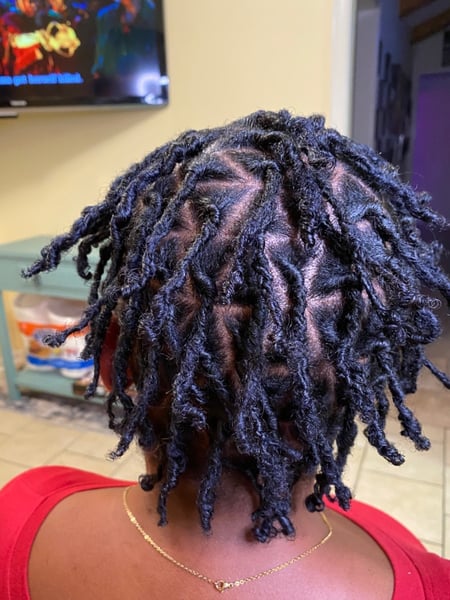 Image of  Women's Hair, Natural, Hairstyles, Locs