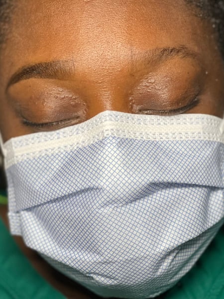 Image of  Arched, Brow Shaping, Brows, Brow Tinting, Wax & Tweeze, Brow Technique