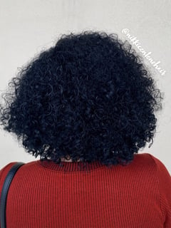 View Women's Hair, Hair Color, Black, Shoulder Length, Hair Length, Curly, Haircuts, Layered, Curly, Hairstyles, Natural - Nicole Centeno, Naples, FL
