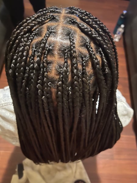 Image of  Women's Hair, Boho Chic Braid, Hairstyles, Braids (African American), 4C, Hair Texture