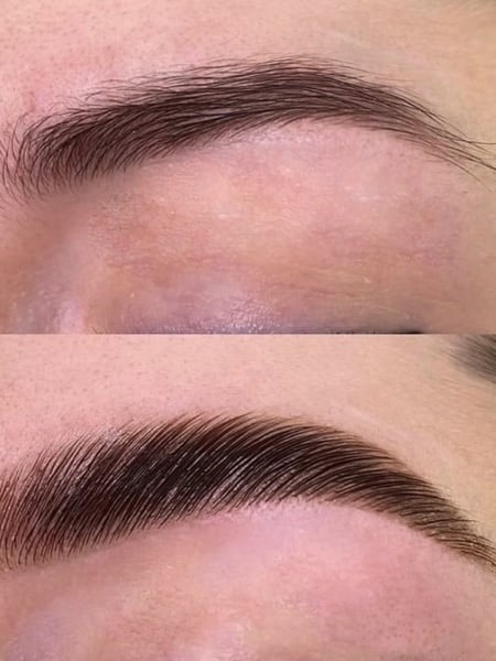 Image of  Brows, Wax & Tweeze, Brow Technique, Arched, Brow Shaping, Brow Lamination, Brow Tinting