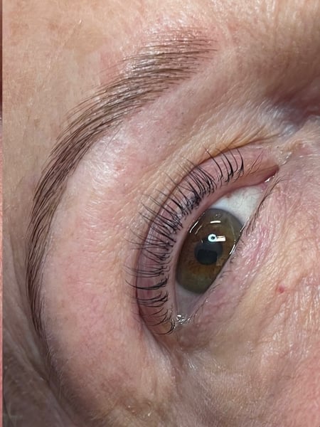 Image of  Lash Tint, Lashes, Lash Lift, Brow Shaping, Brows, Brow Tinting, Wax & Tweeze, Brow Technique, Brow Lamination