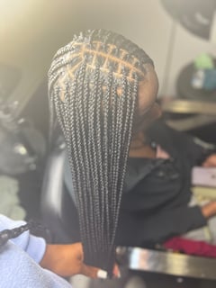 View Women's Hair, Hairstyles, Braids (African American) - Antionette Armour, Denver, CO