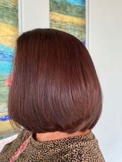 View Hair Color, Brunette, Women's Hair - Michelle Nguyen, Houston, TX