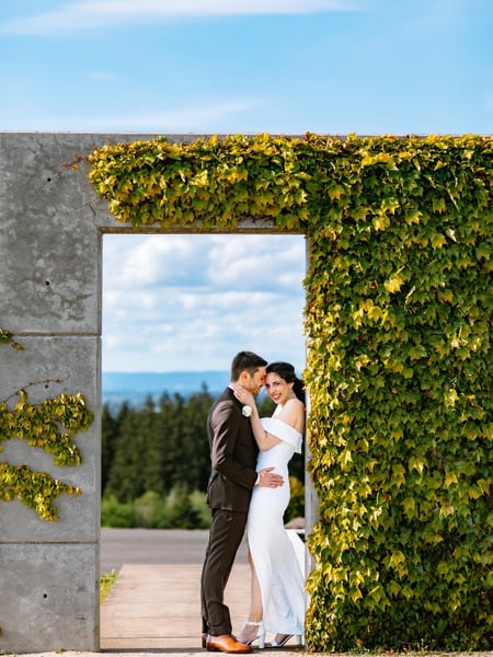 Image of  Photographer, Wedding, Formal, Vineyard, Outdoor