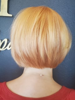 View Short Hair (Chin Length), Women's Hair, Bob, Haircut, Blunt (Women's Haircut), Hair Length - Arriane Martinez, Colorado Springs, CO