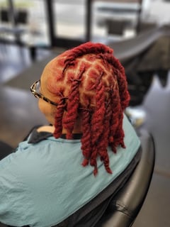 View Women's Hair, Hair Color, Red, Locs, Hairstyle, Hair Texture, 4A - Catherine Jones, Memphis, TN