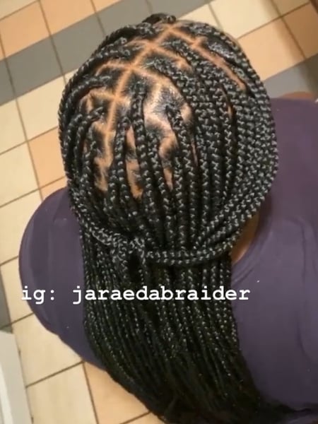 Image of  Women's Hair, Braids (African American), Hairstyles, Protective, Hair Texture, 4C