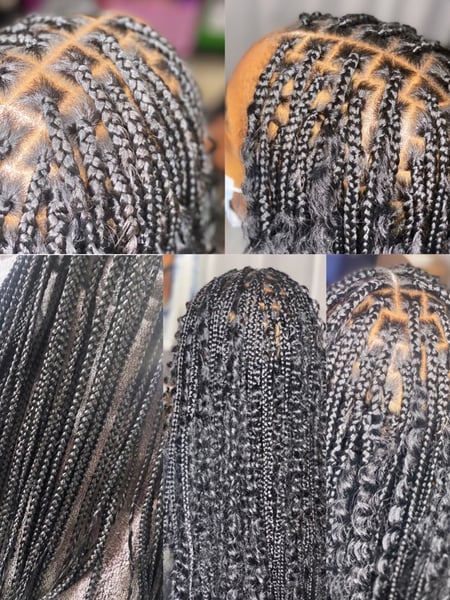 Image of  Braids (African American), Hairstyles