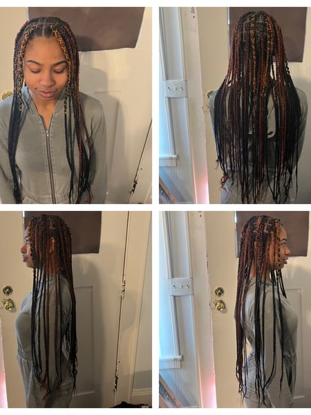 Image of  Braids (African American), Hairstyles, Women's Hair