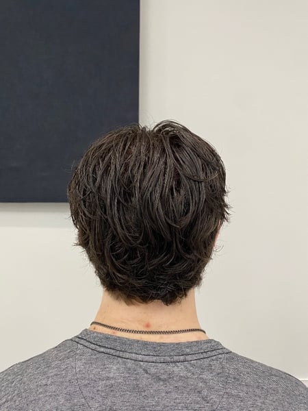 Image of  Short Ear Length Hair, Haircut, Men's Hair, Mullet, Hairstyles