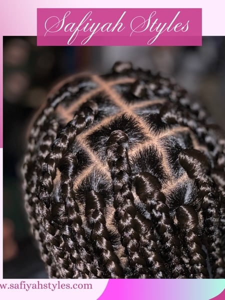 Image of  Women's Hair, Braids (African American), Hairstyles, Protective