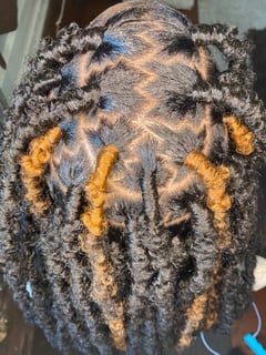 View Women's Hair, Highlights, Hair Color, Long, Hair Length, Locs, Hairstyles - Shantae Paisley, East Orange, NJ
