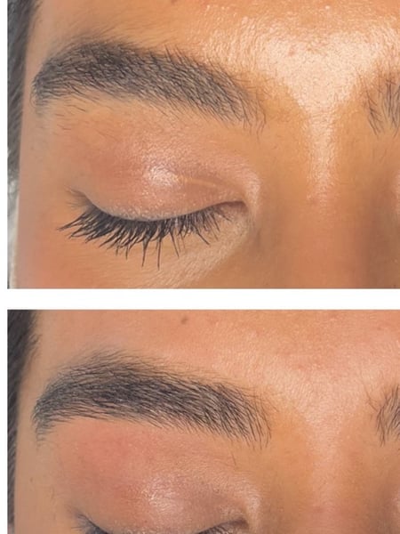 Image of  Brows, Brow Shaping, Threading, Brow Technique