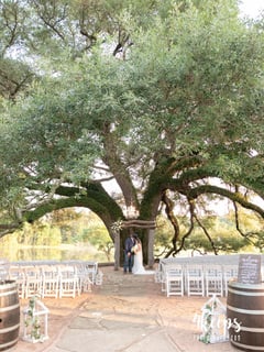 View Wedding, Outdoor, Rustic, Informal, Formal, Photographer - Melissa Higday, Montgomery, TX