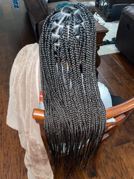 Image of  Hair Texture, 3B, 3C, 4A, 3A, 4B, 4C, 2C, 2A, 2B, Hair Restoration, Braids (African American), Women's Hair, Hairstyles