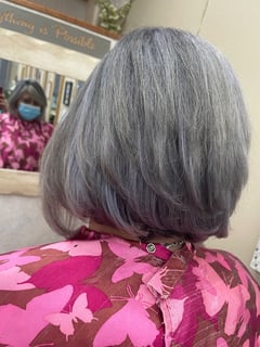 View Women's Hair, Silver, Hair Color, Color Correction, Hair Length - Genoveva Phillips , North Hills, CA