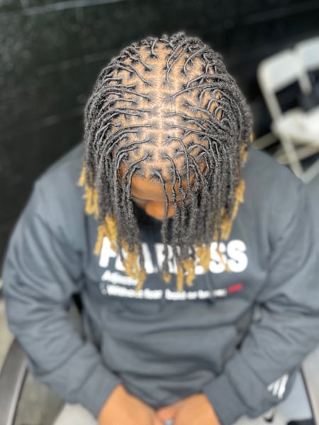 Image of  Men's Hair, Locs, Hairstyles, Fashion Color , Hair Color