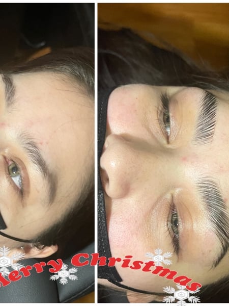 Image of  Brows, Arched, Brow Shaping, Wax & Tweeze, Brow Technique, Brow Lamination, Brow Tinting