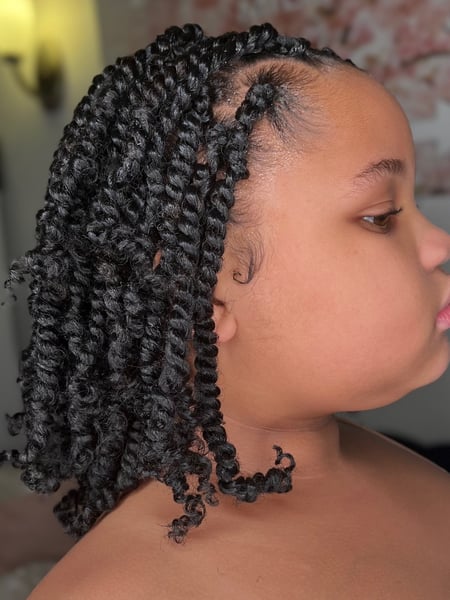 Image of  Protective, Hairstyles, Women's Hair, Braids (African American), Natural, Hair Texture, Kid's Hair, Braiding (African American), Hairstyle, Protective Styles