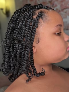 View Protective, Hairstyles, Women's Hair, Braids (African American), Natural, Hair Texture, Kid's Hair, Braiding (African American), Hairstyle, Protective Styles - Erica Williams, Oak Park, IL
