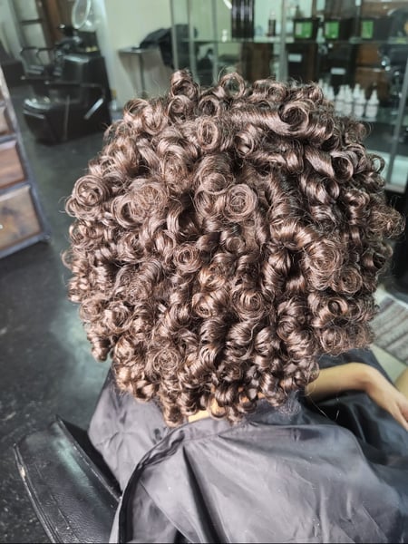 Image of  Natural, Hairstyles, Women's Hair