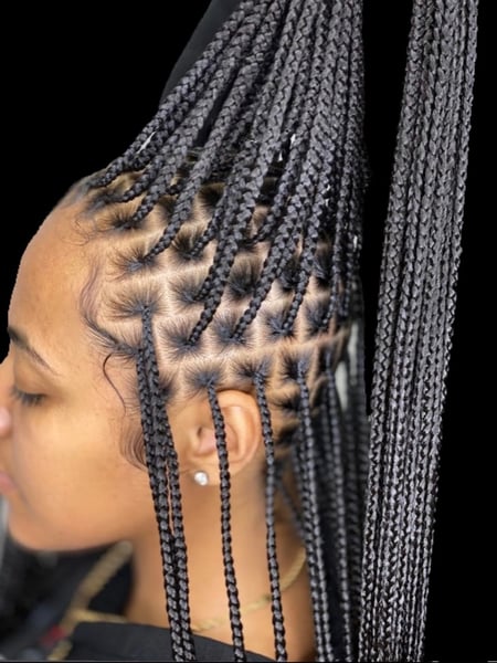 Image of  Women's Hair, Braids (African American), Hairstyles, Hair Extensions, Natural, Protective, Weave, 4C, Hair Texture, 4B, 4A