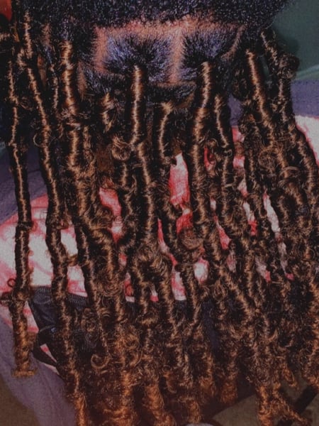 Image of  Women's Hair, Locs, Hairstyle, Hair Extensions, Protective Styles (Hair)