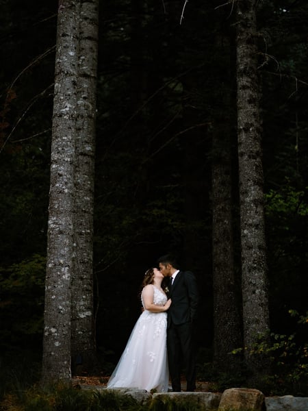 Image of  Photographer, Wedding, Formal, Outdoor