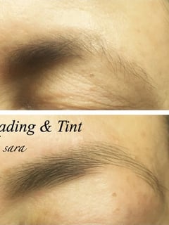 View Brows, Brow Tinting, Brow Technique, Threading, Brow Shaping, Arched - Sara , Houston, TX