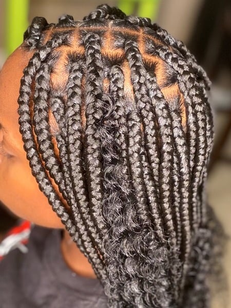 Image of  Braids (African American), Hair Extensions, Hairstyle