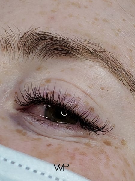 Image of  Lashes, Eyelash Extensions, Lash Type, Classic, 3+ Weeks Post Service