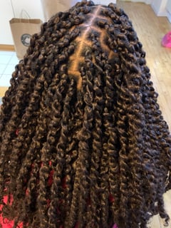 View Protective Styles (Hair), Hairstyle, Braids (African American) - Taiwo, New York, NY