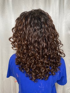 View Coily, Haircuts, Women's Hair, Curly, Hair Texture, 3B, 3C, 4A, 3A, 4B, 4C, 2C, 2A, 2B, Hair Length - Chelsea Perdomo, New York, NY