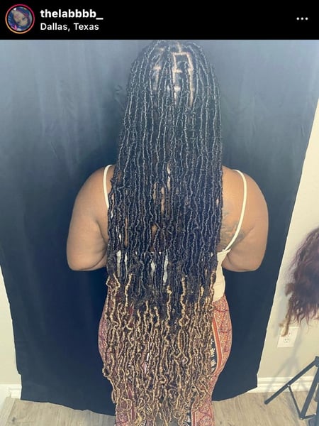 Image of  Braids (African American), Hairstyles, Women's Hair, Locs, Ombré, Hair Color