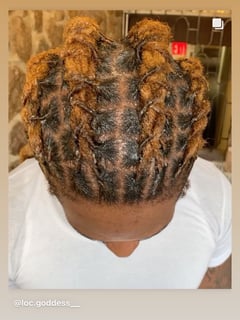 View Locs, Hairstyle, Women's Hair - Dominique Simmons, Newark, NJ