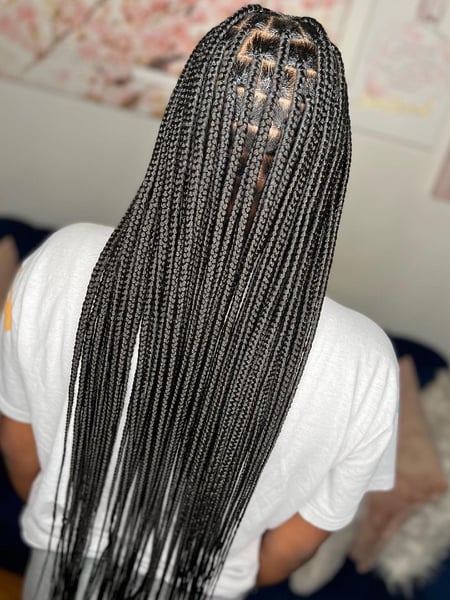 Image of  Braids (African American), Hairstyles, Women's Hair, Protective, Black, Hair Color, Hair Texture