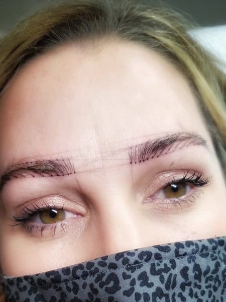 Image of  Brows, Brow Shaping, Steep Arch