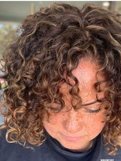 View Balayage, Haircut, 2C, 3A, Shoulder Length Hair, Curly, Hair Length, Hair Texture, Hair Color, Women's Hair, Brunette Hair - Nina Nears, San Diego, CA