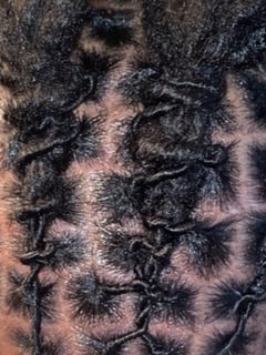 View Women's Hair, Locs, Hairstyle, Natural Hair, Hair Texture, 4A - Yanna Dixon, Memphis, TN