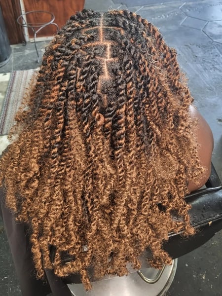 Image of  Protective, Hairstyles, Women's Hair, Natural, Braids (African American)