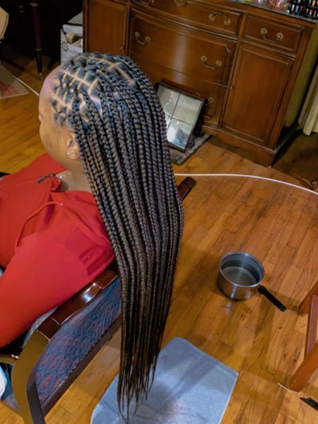 Image of  Braids (African American), Hairstyle, Women's Hair