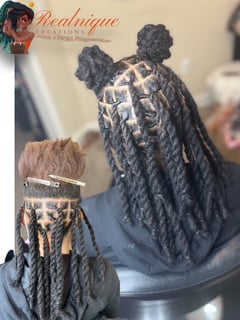 View Hairstyle, Protective Styles (Hair), Locs, Natural Hair, Hair Extensions, Women's Hair - Najah Bourne, Concord, NC